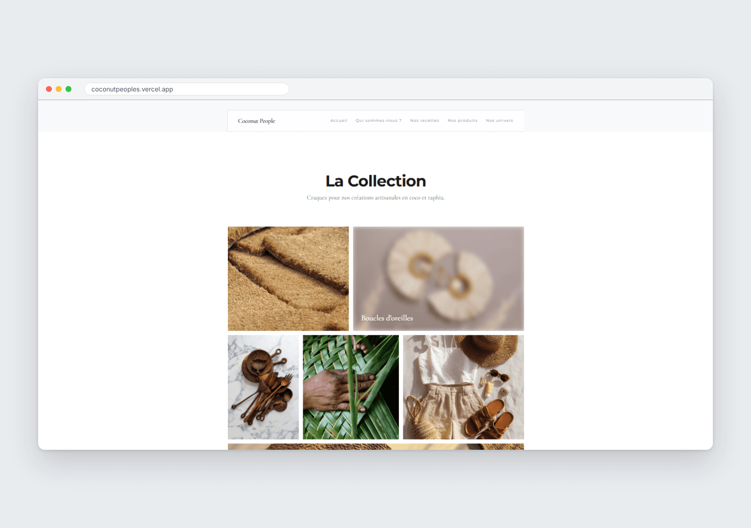 Capture 2 du projet Coconut People